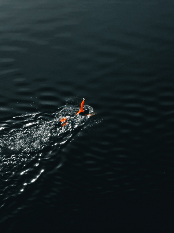 La natation en eau libre : un sentiment de stupeur