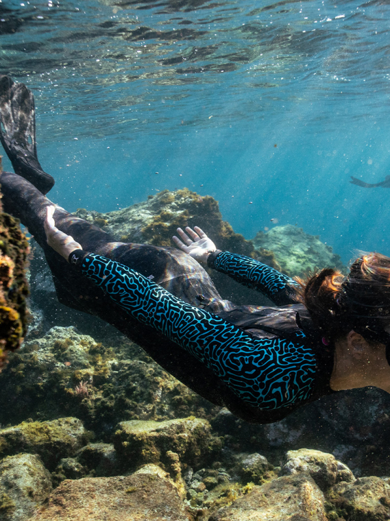 Década crítica: Tenemos 10 años para salvar la gran barrera de coral