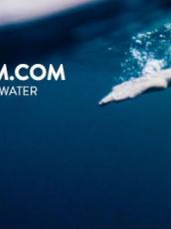Orca Presenta Best Places to Swim