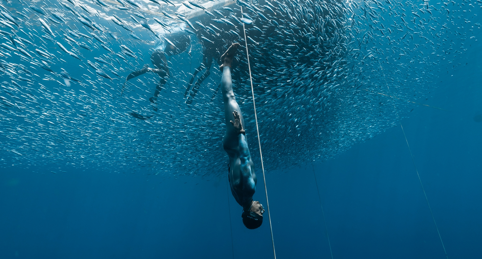 Freediver klesá popri lane v kŕdli rýb v hlbokom oceáne